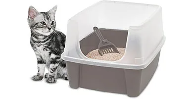 Caja de arena para gatos con reseñas positivas