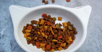 Diferentes tipos de comida seca para gatos, incluyendo opciones para diferentes edades, razas y necesidades nutricionales. La imagen destaca la variedad y calidad de los alimentos disponibles.