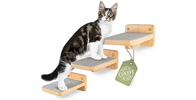 Escaleras y escalones para gatos