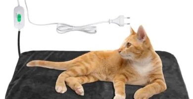 Guía sobre Mantas Eléctricas para Gatos Mayores