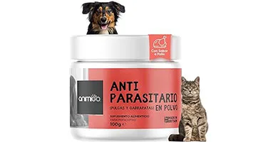 Pulguicidas en Polvo para Gatos