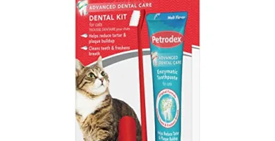 Cepillos de Dientes para Gatos Fáciles de Usar