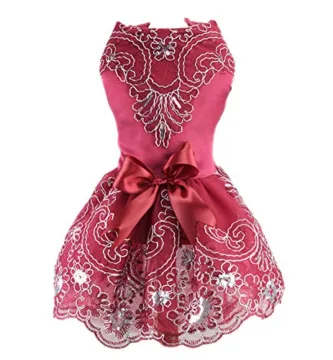 Vestidos para Gatos para Fiestas | Guía Completa